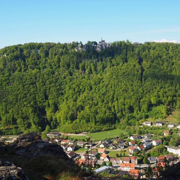 Profile - Picture 10 of 15